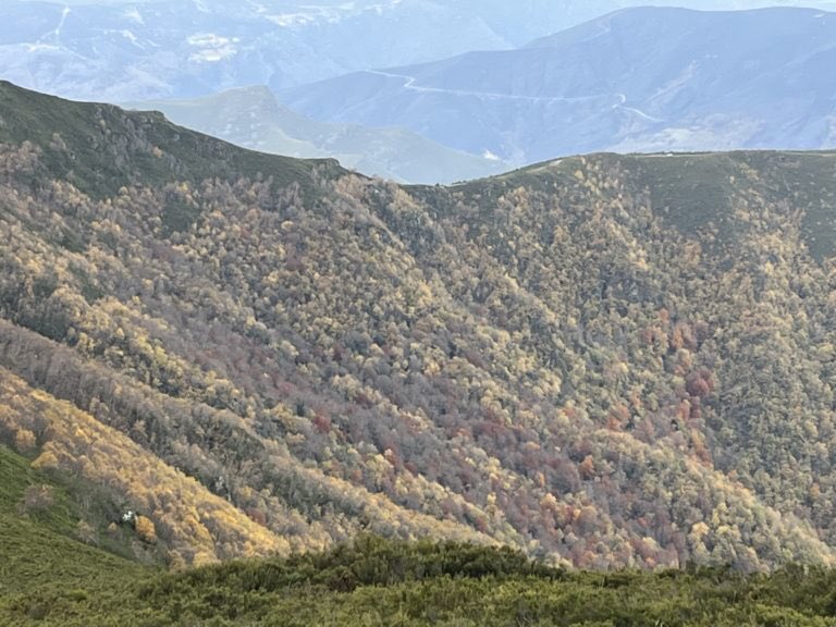 Hoje acabamos o curso no Caseto da Clara Corbelhe com um artigo do geógrafo Valerià Paül, a dialogar com outro do Brais Estévez.

🖌️ Uma critica ao papel de Turismo Galicia e das suas questionáveis políticas de proteção das paisagens naturais galegas:

▫️ claracorbelhe.gal/o-caseto-artig…