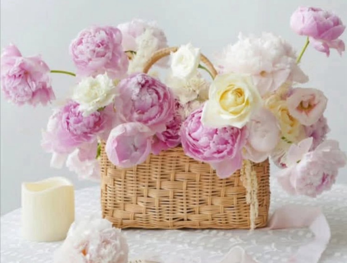 Bom dia,amigas e amigos!
🙏🙏🙏☕️🤗
Final de semana abençoado!
“Sempre que achares adequado, acende um sonho e deixa-o arder em ti.”
William Shakespeare