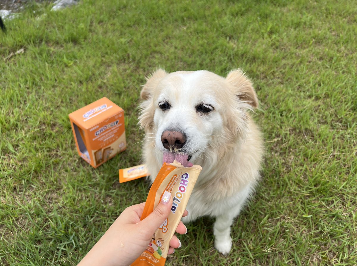 Bigger. Bolder. Better.

Meet Choolip’s Jumbo Squeeze Vita Stick — 40g of creamy goodness for big dogs and multi-pet homes.

#JumboTreat #BigDogApproved #ChoolipPets #SuperfoodForPets
