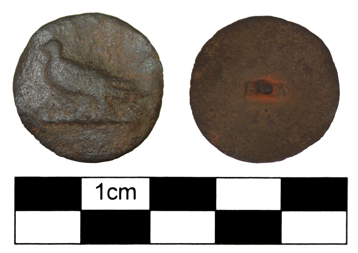 HenebTWA's tweet image. 🪶 Today's #FindsFriday is a humble livery button, decorated with a bird, it looks like it's seen better days but what amazing stories it could tell.
More information available here 👇
buff.ly/zLBD5YN
#PASCymru #Archaeology #ResponsibleDetecting #RecordYourFinds