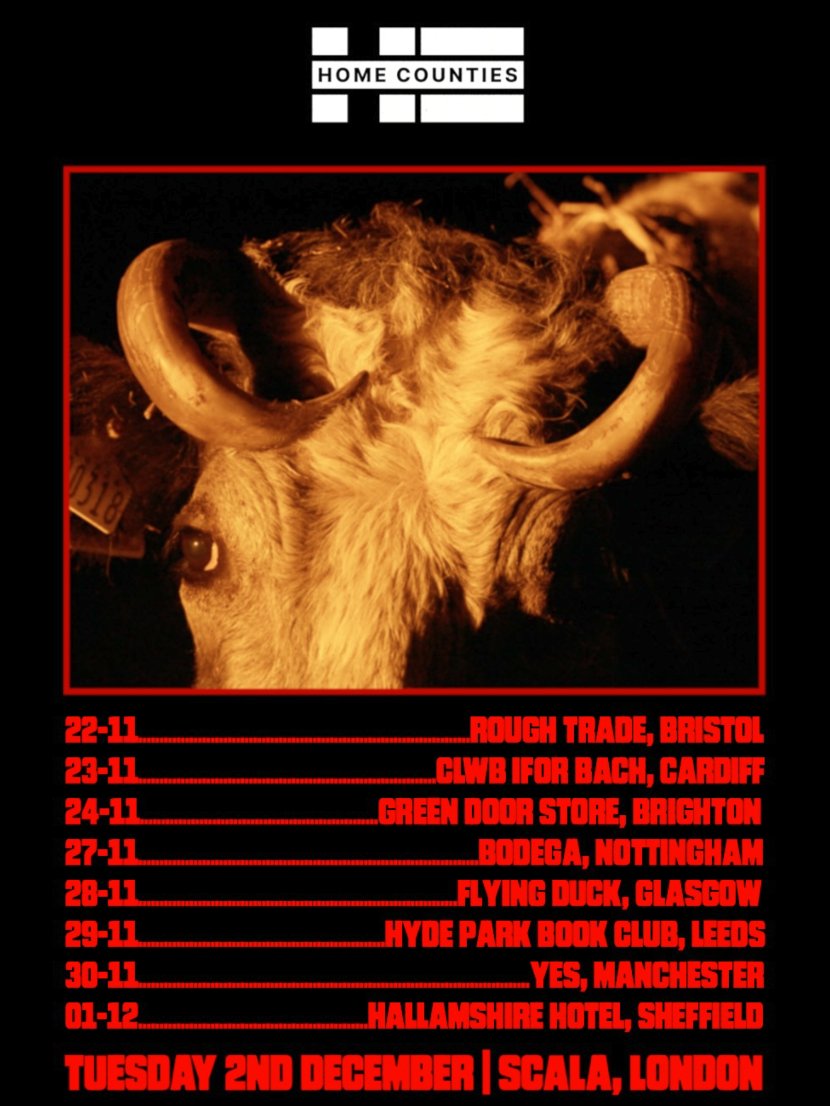 DINKED (@dinkededition) on Twitter photo Make sure you catch <a href="/Home_Counties_/">Home Counties</a> live this November!
Dinked Edition here - ffm.bio/humdrum Make sure you catch <a href="/Home_Counties_/">Home Counties</a> live this November!
Dinked Edition here - ffm.bio/humdrum