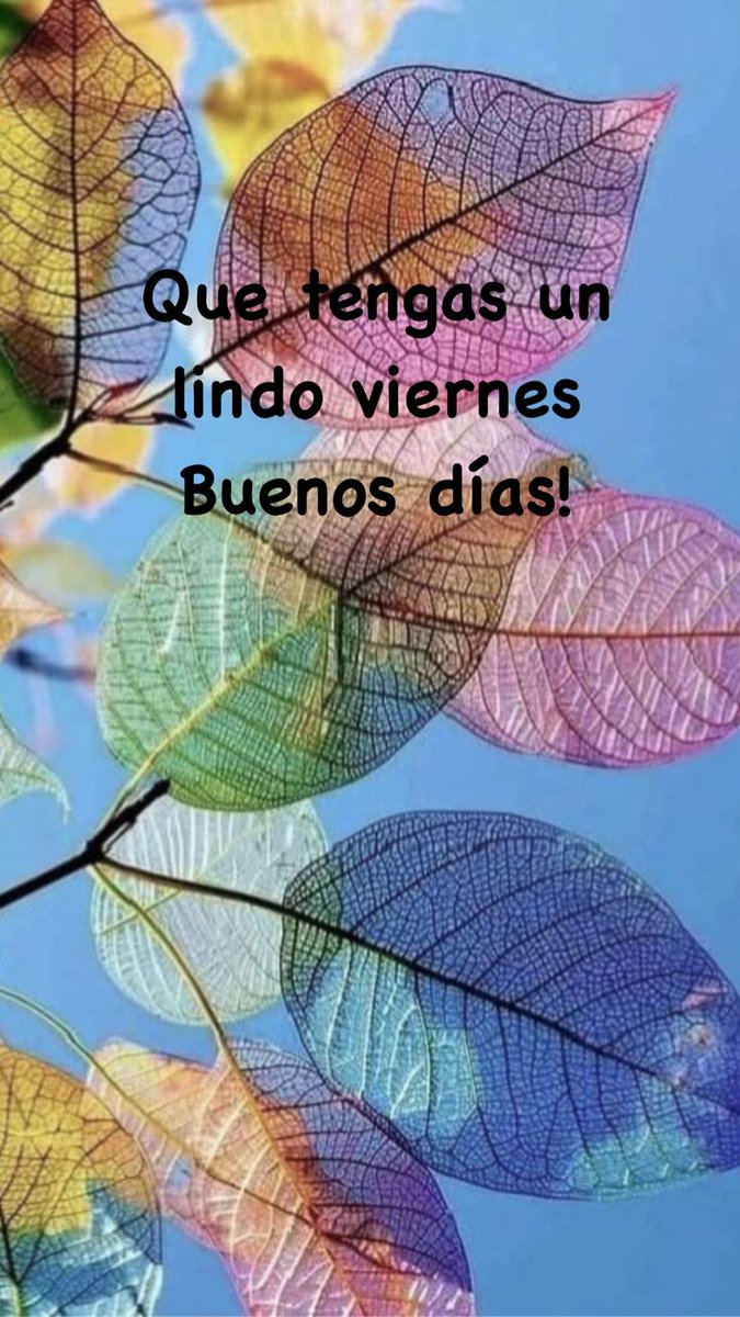 BUENOS DÍAS!!
UN FELIZ VIERNES Y UN MARAVILLOSO FIN DE SEMANA LES DESEO A TODOS MIS QUERIDOS AMIG@S DE X. QUE EL SEÑOR LOS BENDIGA Y PROTEJA SIEMPRE.🙏☕🍀