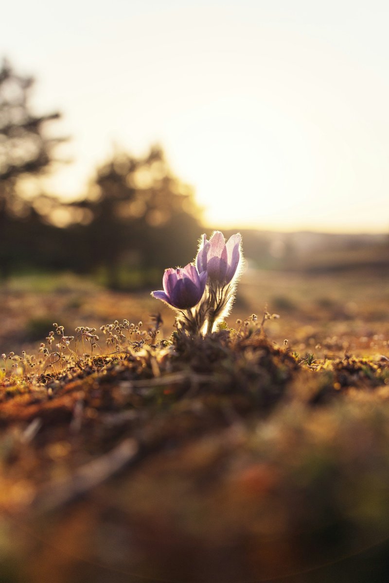 kadaxis's tweet image. How do you show character growth without spelling it out?
#writingcommunity #amwriting #fiction