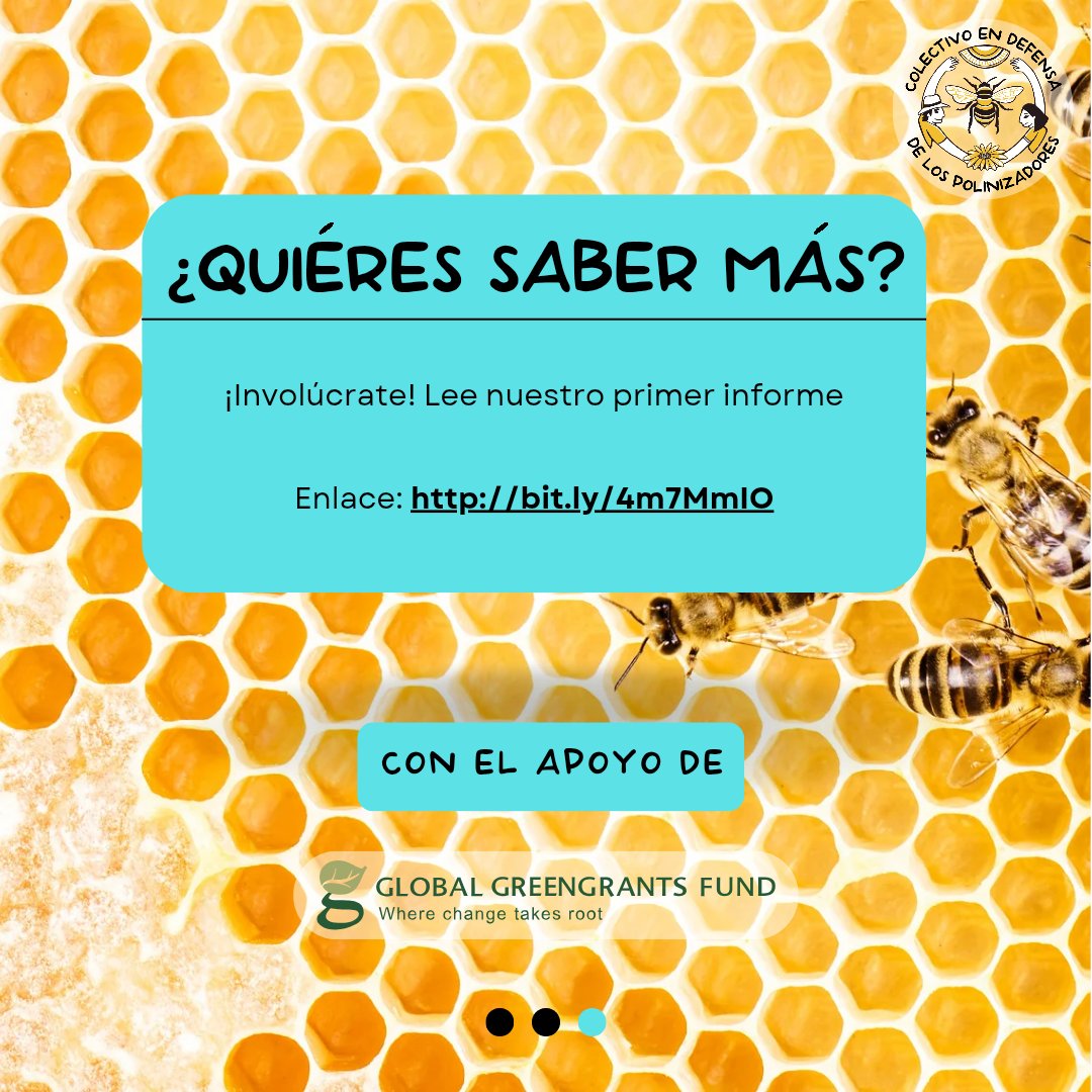 🐝🌾 ¿Qué es un Sistema Participativo de Garantía?
Una herramienta para crear confianza en los procesos agroecológicos y el cuidado de la Naturaleza.

Campaña #MielQueCuida 📖 ¡Lee nuestro primer informe que recoge hallazgos iniciales 👉🔗 bit.ly/4mc9Yf6