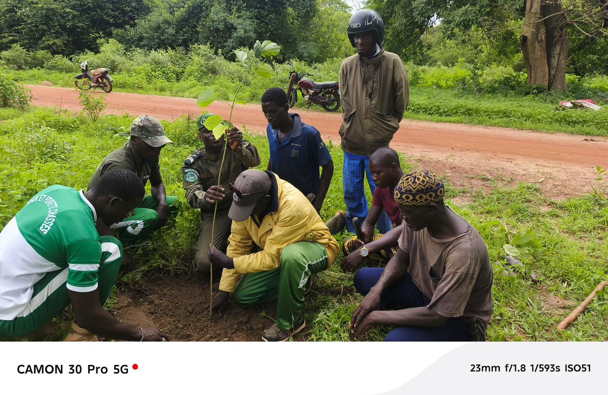 SenegalVertChal's tweet image. 🌳 Il l’avait promis, il l’a fait ! IYO, Bravo Ousmane🙏🏾
Ousmane Biaye a mobilisé sa communauté et les Eaux & Forêts pour planter 600 arbres dans son village. Un vrai acte citoyen 💪🏿
Merci à l’équipe des Eaux et Forêts
Alors , Yaw Loo xaar ?
#SenegalVertChallenge 🌱