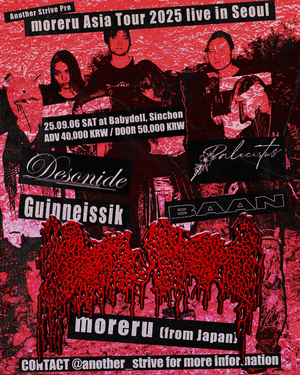 AnotherStrive's tweet image. Another Strive Presents
"moreru Asia Tour 2025 Live in Seoul"
2025.09.06 Sat at Babydoll, Sinchon, Seoul
-
Ticket : ADV 40,000 KRW / DOOR 50,000 KRW
*Ticket link in bio
-
도쿄의 실험적인 폭음 집단인 moreru 가 아시아투어의 시작으로 서울에 찾아옵니다.
