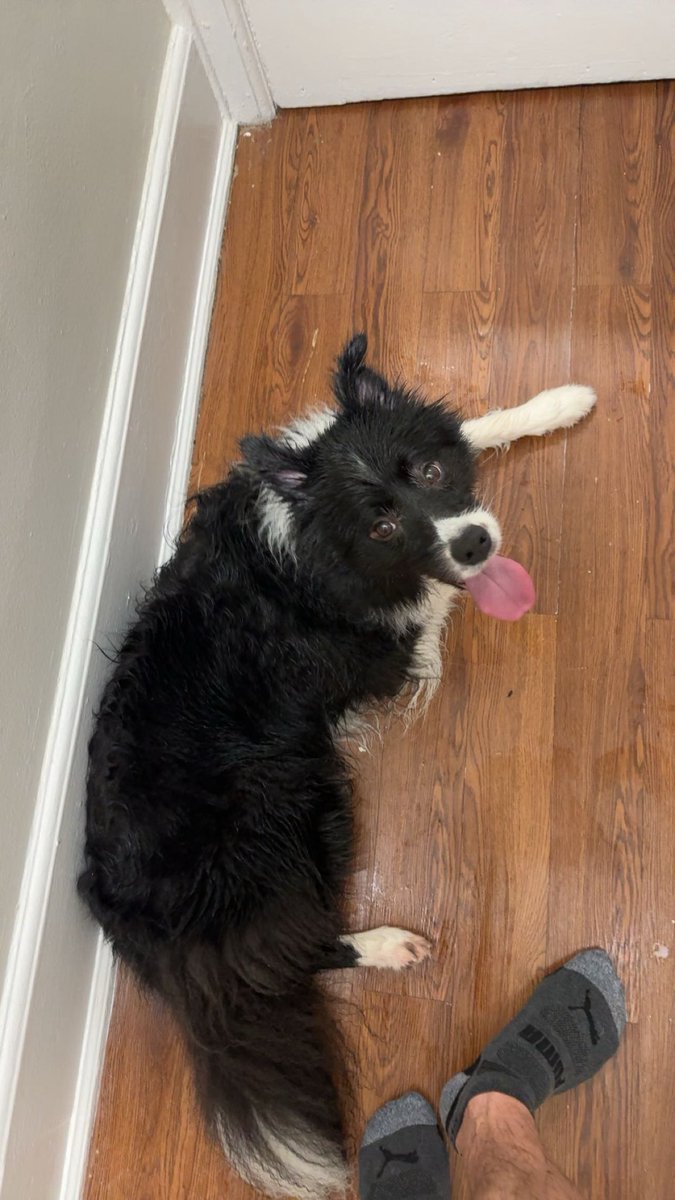 MidwstGnar's tweet image. morning run in the pouring rain was (kind of) a success !