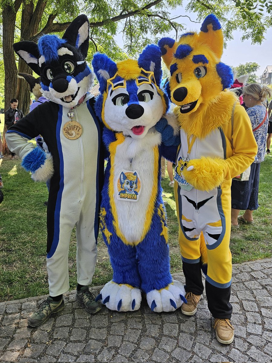 Impreza (@imprezathewolf) on Twitter photo Happy #FursuitFriday, everyone!! 💙💛✨️
Feat.:
<a href="/SwiftyHooskie/">Swͪiͦfͦt̾yⷦ 🏳️🌈</a>
@BruntyTheWolfCZ
#furry #furryfandom #furrycommunity #furryczsk #furriesfandom #furryouting #furmeet #furmeets #furryczech #furrycz #originalcharacter #mascot #cosplay #Fursuiters #fursuiting #furries Happy #FursuitFriday, everyone!! 💙💛✨️
Feat.:
<a href="/SwiftyHooskie/">Swͪiͦfͦt̾yⷦ 🏳️🌈</a>
@BruntyTheWolfCZ
#furry #furryfandom #furrycommunity #furryczsk #furriesfandom #furryouting #furmeet #furmeets #furryczech #furrycz #originalcharacter #mascot #cosplay #Fursuiters #fursuiting #furries