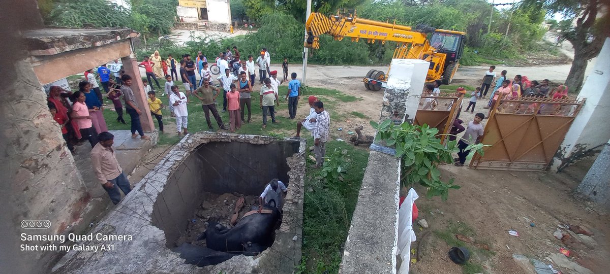 manu_shankhla's tweet image. #शिक्षा_मंत्री_इस्तीफा_दो