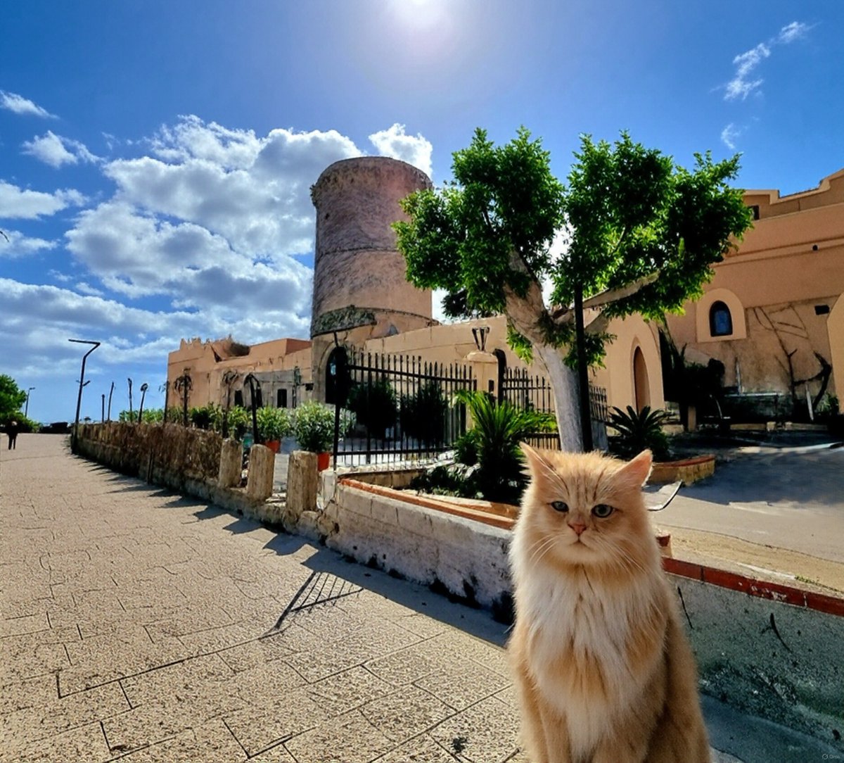 Imaginifico Zรป Pippinu (@ziopippinu) on Twitter photo <a href="/catisthecatch/">๐โโฌ๐๐โโฌ๐๐โโฌ๐</a> Cara Cati, ricambio di cuore ๐๐โ๏ธโฎ๏ธ <a href="/catisthecatch/">๐โโฌ๐๐โโฌ๐๐โโฌ๐</a> Cara Cati, ricambio di cuore ๐๐โ๏ธโฎ๏ธ