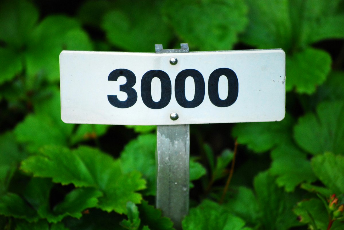 AFNnetwork's tweet image. 🎉 We’ve just hit 3,000 members! 🎂
Thank you to every single person who’s joined our network, shared ideas, made connections, and helped build something special. We’re proud of the community we’re creating together.
And if you haven't joined up yet, visit agrifood4netzero.net/join-us/