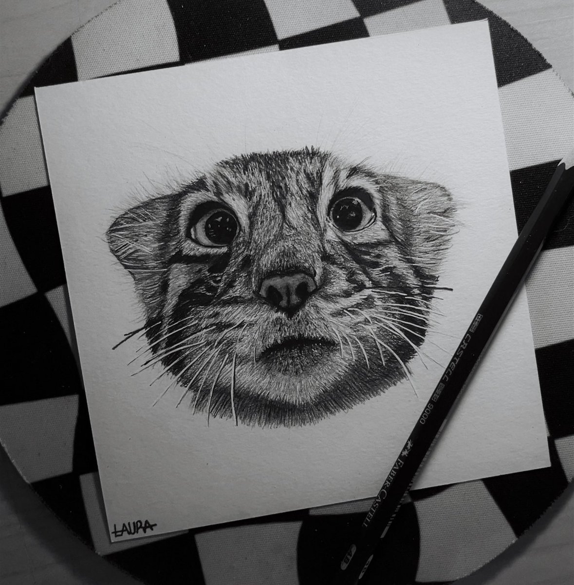 fallforII's tweet image. Officially finished my first animal drawing ever last night 🤏🏻🙂↕️