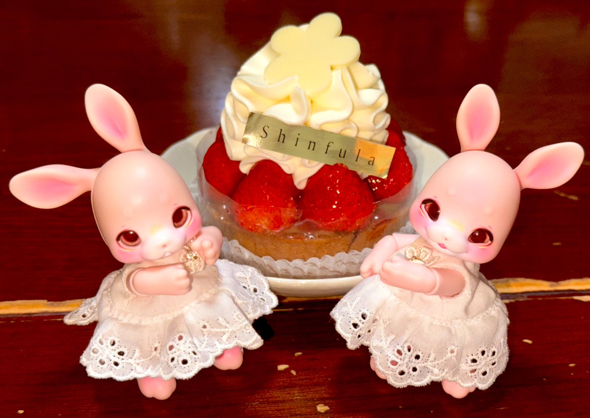 rico_x_rita's tweet image. サラ「可愛いイチゴのケーキ🩷」
サク「甘いイチゴに、生クリーム🩷」
美味しいモノは、幸せねぇ(*´∀`*)🩷
#kumukukuoli #kumukuku