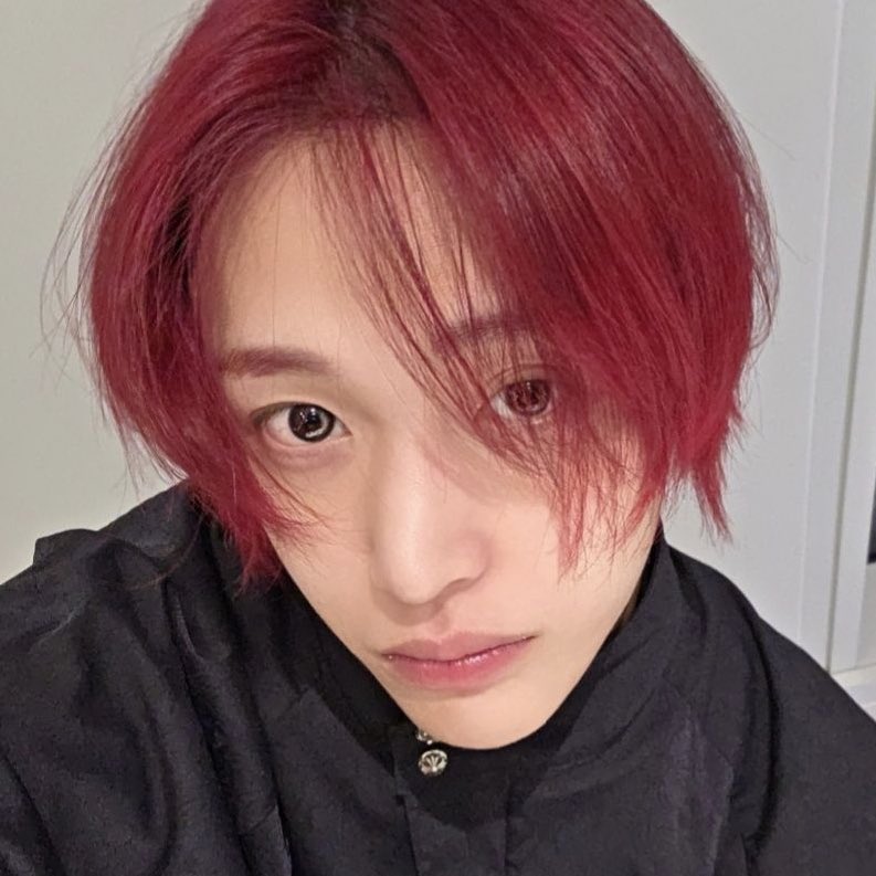 1bbinstar's tweet image. 너무착한고양이