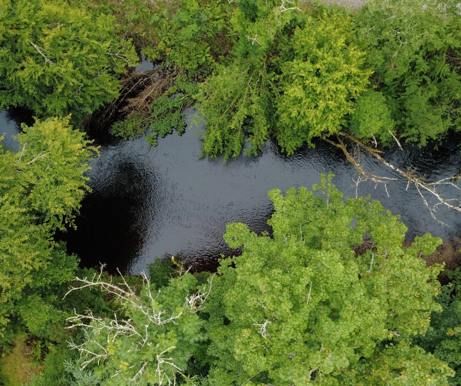 WatersProgramme's tweet image. We spent some time this week with the Abhainn Dá Loilíoch Woodland Group in Galway, hearing about the excellent work they are doing in the area.
Gabrielle Bolster, from the group, explained how they are using LAWPRO funding to preserve and extend the river's Blue Dot status. 🔵