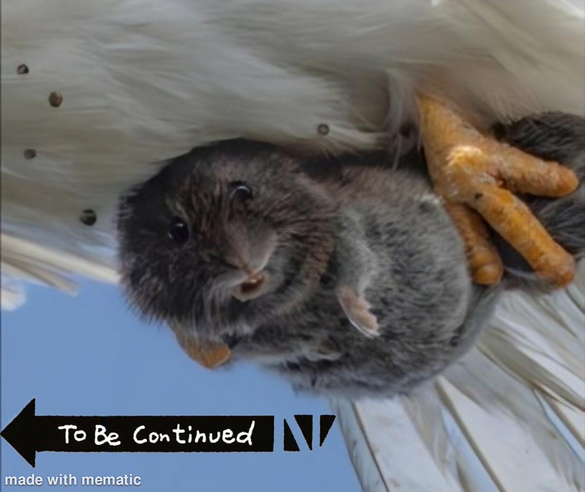 SQUEEK_ONSOL's tweet photo. 🐹 $SQUEEK just photobombed Sha Lu and landed on-chain.
The most adorable accident in meme history is now tradable.
No utility. No roadmap. Just squeeks.
Get in before he scurries off.
🔗https://t.co/OFAlU2Qvvf
#SQUEEK #ShaMmy #HamsterCoin #MemeCoin #PumpFun #Solana #Photobomb https://t.co/it0fXfzYl2