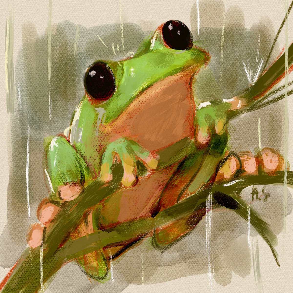 nightmareSyrup's tweet image. Morelet's Tree Frog
I thought they were toys at first glance.