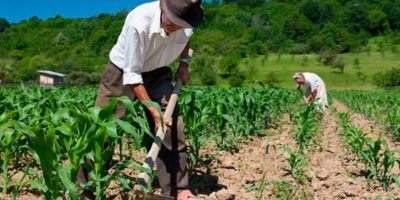 gzarrilli's tweet image. 25'de julio
Día Internacional de la Agricultura Familiar
#Agricultura #Agriculturafamiliar