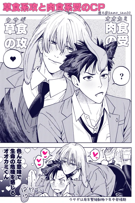 🐰系彼氏と🐺系彼氏のCP良いよね
#創作BL #商業BL 