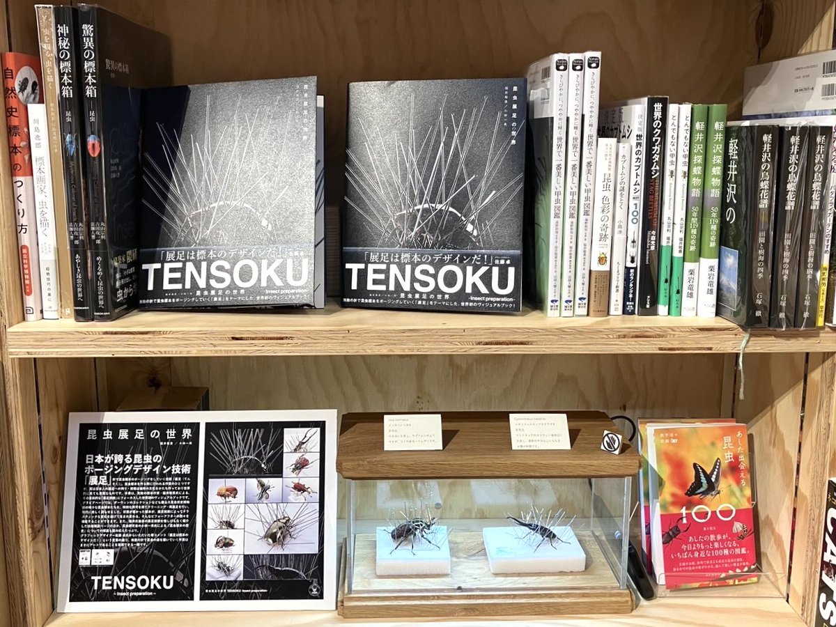 Hanatakient's tweet image. 【展示販売情報/軽井沢書店】
代官山の蔦屋書店様、日本橋の誠品生活様に引き続き、今度は軽井沢!
軽井沢書店様にて「展
昆虫展足の世界TENSOKU -Insect Preparation-」の販売と、展足標本の特別展示を実施中!ぜひお越し下さい