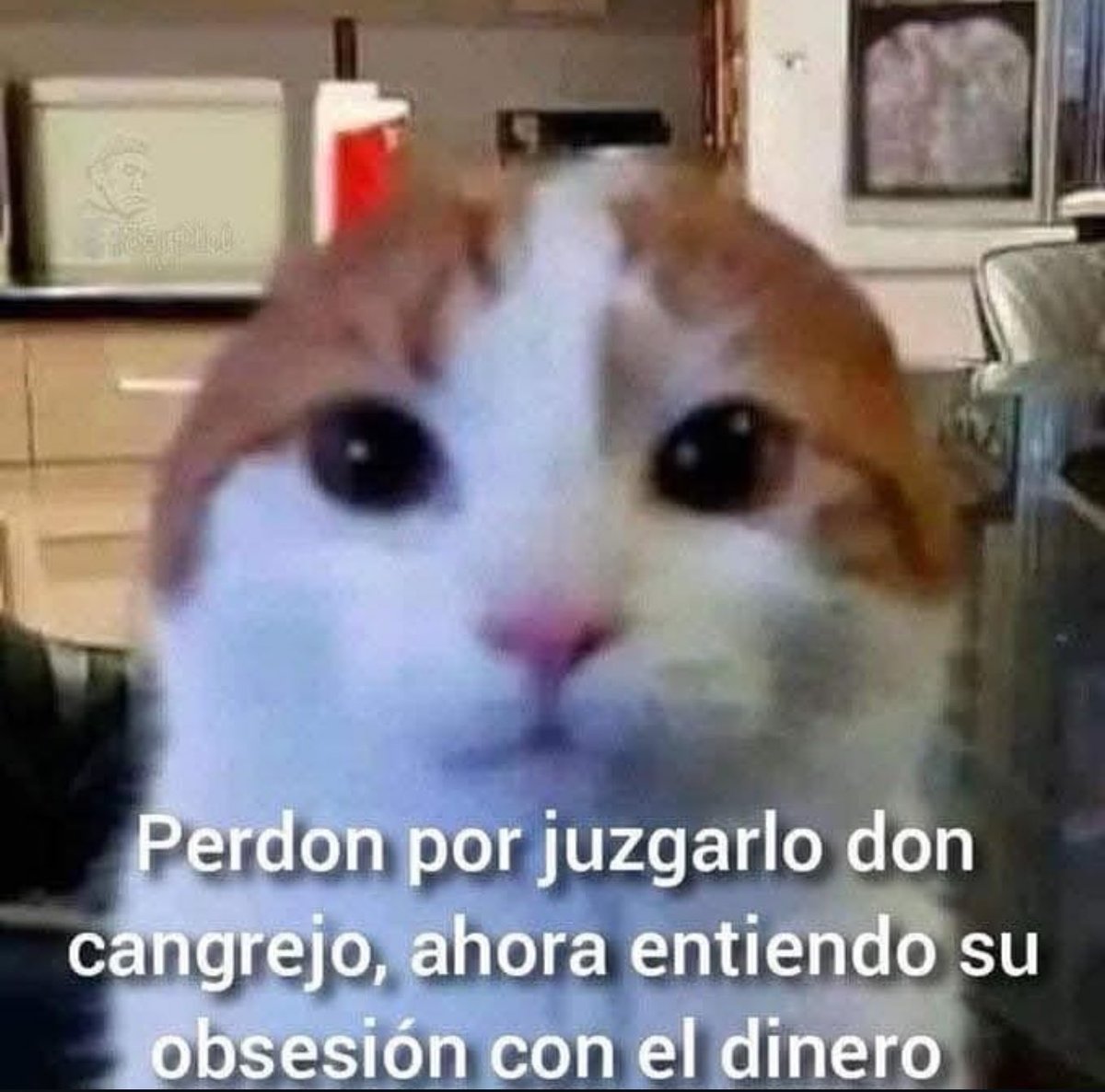 skereunpesado's tweet image. 