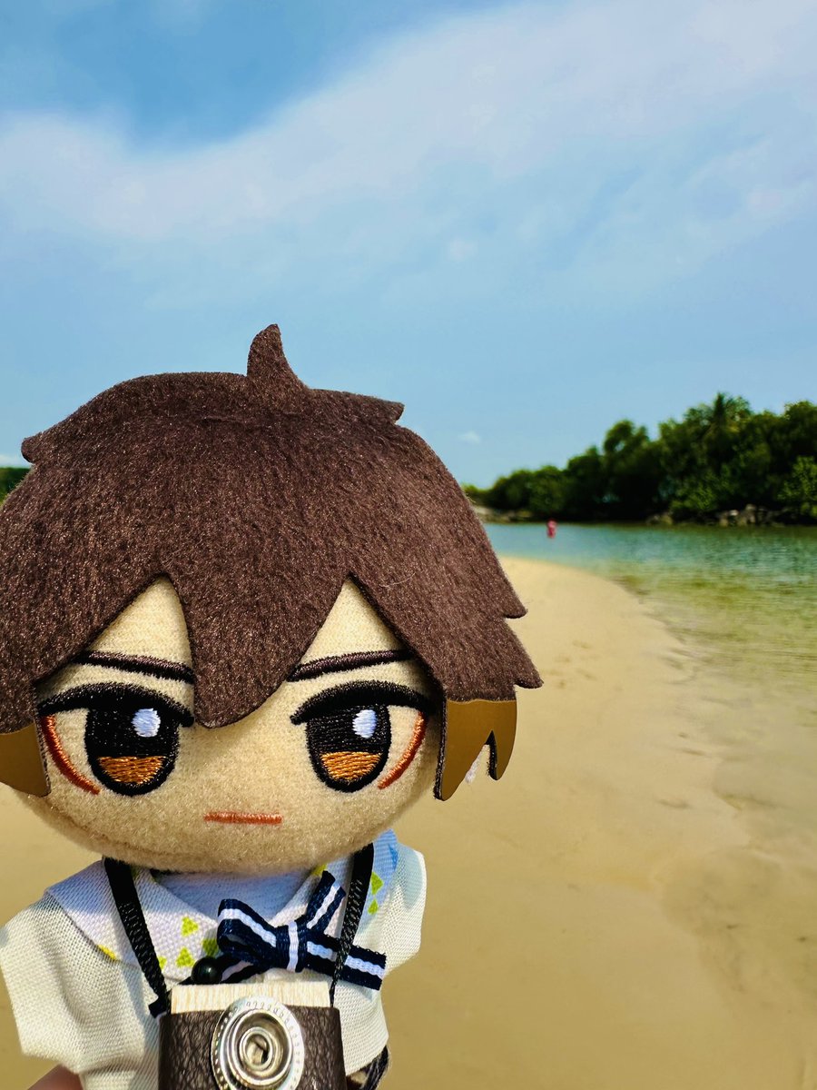 ooedogyuudon's tweet image. 🏖️
先生見て！！海藻だよ