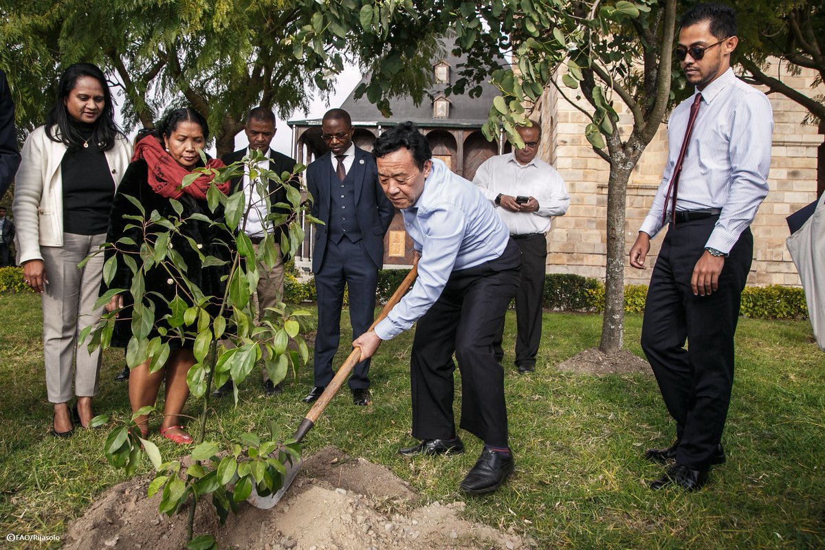 FAODG's tweet image. Inspired by my visit to the Palais de la Reine, a repository of Malagasy history and culture. To transform agrifood systems and build a food-secure future, we must blend traditional knowledge with science and innovation, including through @FAO MuNe. #4Betters