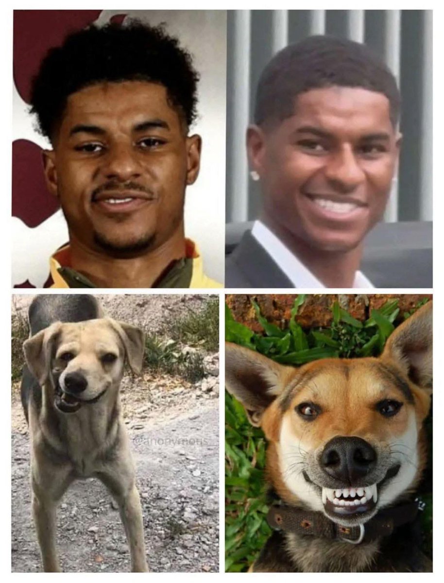 CubarsiOoc's tweet image. The likeness is unreal! 🤣🤣