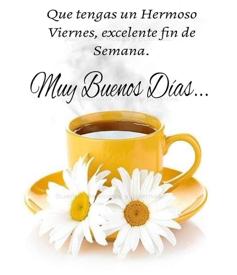 Hola amigos, buen día!! Llegó el viernes, por fin!! Que sea un lindo día para todos!! ☕🤗💖🎶🌻🫂😘🫶