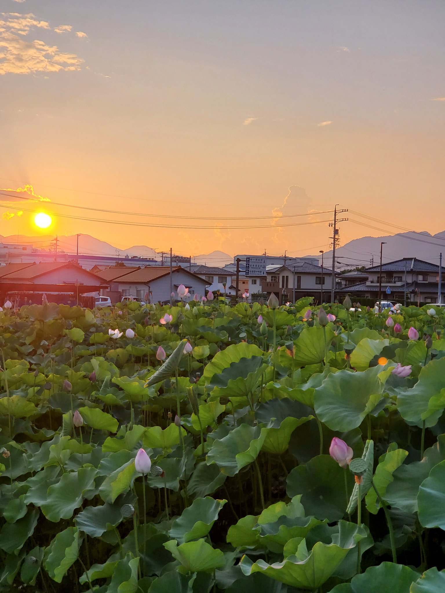夕暮れ 鬼滅が完結して月曜日の楽しみが1つ減ってしまった😭😂😂 #海