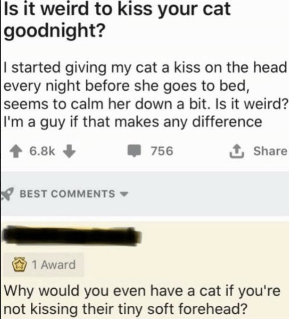goodredditss's tweet image. 