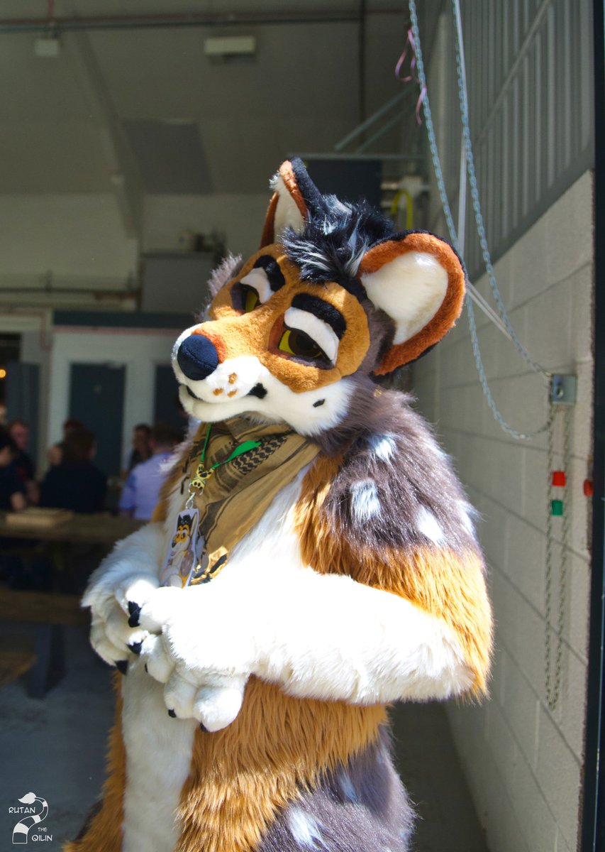 Koshi (@ko__koshi) on Twitter photo When the function has Pizza ๐
Picture by Rutan The Qilan
Suit by <a href="/TheKarelia/">TheKareliaFursuits ๐ EF29, Furnavia.</a>
#FursuitFriday #furry #FursuitEveryday #PizzaTime When the function has Pizza ๐
Picture by Rutan The Qilan
Suit by <a href="/TheKarelia/">TheKareliaFursuits ๐ EF29, Furnavia.</a>
#FursuitFriday #furry #FursuitEveryday #PizzaTime