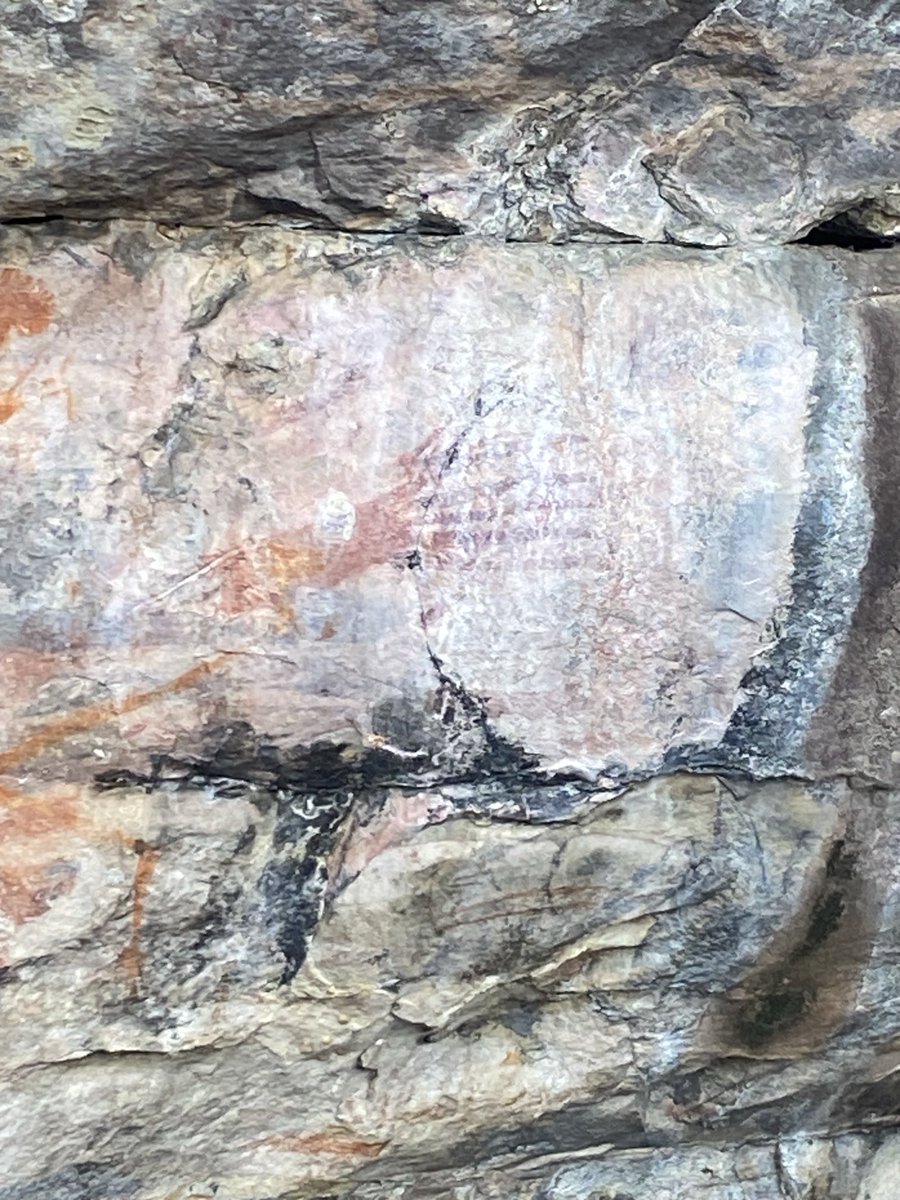 grantm_60's tweet image. In awe of traditional Aboriginal art here in Kakadu and not a dot painting to be seen😳 #vanlife #greynomads