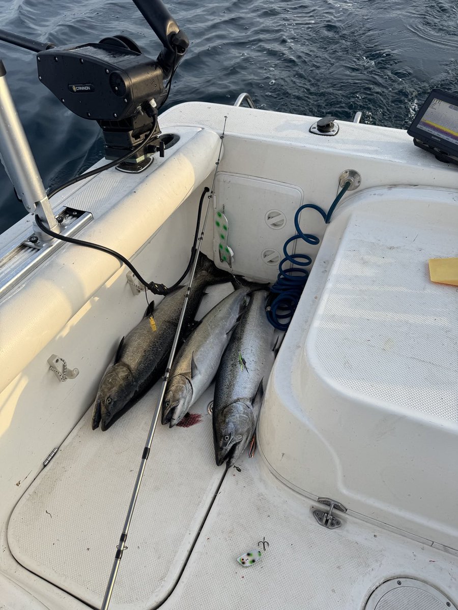 bakerjonathanr's tweet image. Another big one. That’s 4 keepers and one throwback