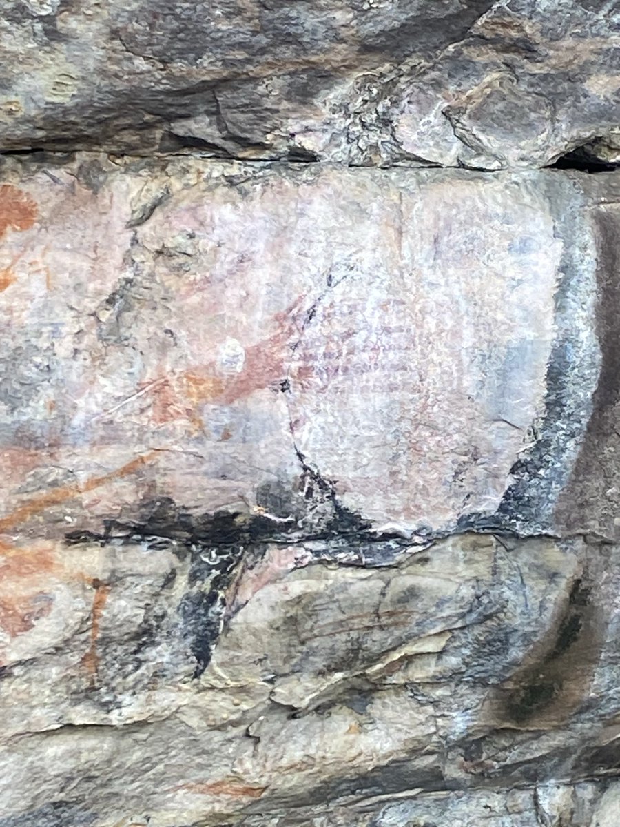 grantm_60's tweet image. In awe of traditional Aboriginal art here in Kakadu and not a dot painting to be seen😳 #vanlife #greynomads
