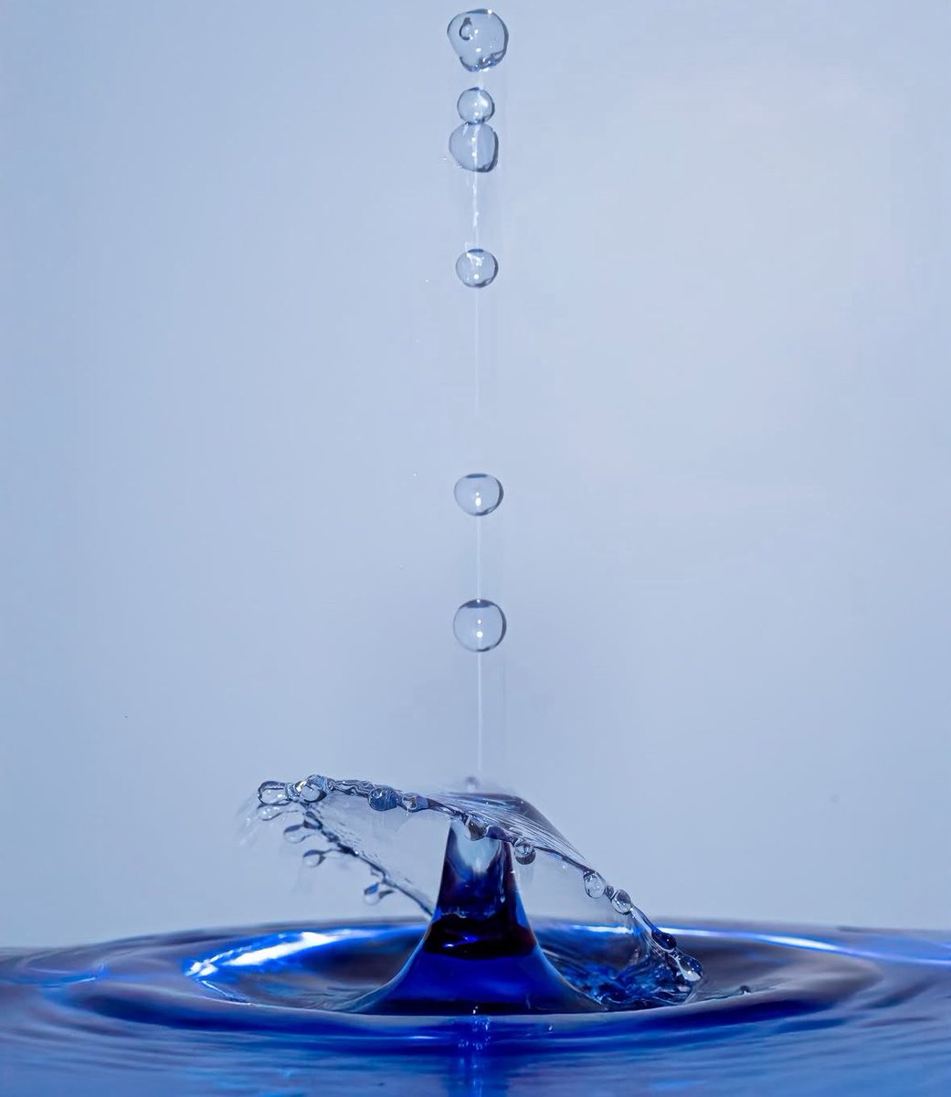Water droplet image from Instagrammer shauna_p_photography 

#sheclicksnet #femalephotographers #women #womenphotographerscommunity #photography #femalephotographer #water #waterdropletphotography