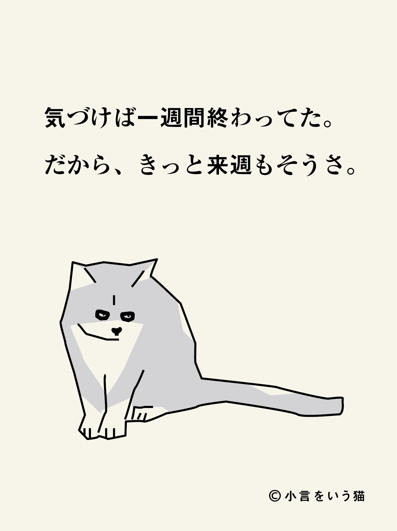 猫宮の猫たち🐈🐈🐈 (@necomiyacats222) / X