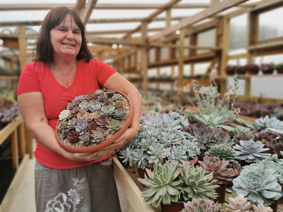 Plant Heritage (@plantheritage) on Twitter photo Tracey Coogan of EastofEcheveria will feature her amazing #NationalPlantCollection of Echeveria on BBC Gardeners World this evening (8pm BBC2).
Image: Echeveria ' Madiba cc #eastofecheveria
<a href="/GWandShows/">BBC Gardeners World</a> #Echeveria #Lincolnshire Tracey Coogan of EastofEcheveria will feature her amazing #NationalPlantCollection of Echeveria on BBC Gardeners World this evening (8pm BBC2).
Image: Echeveria ' Madiba cc #eastofecheveria
<a href="/GWandShows/">BBC Gardeners World</a> #Echeveria #Lincolnshire