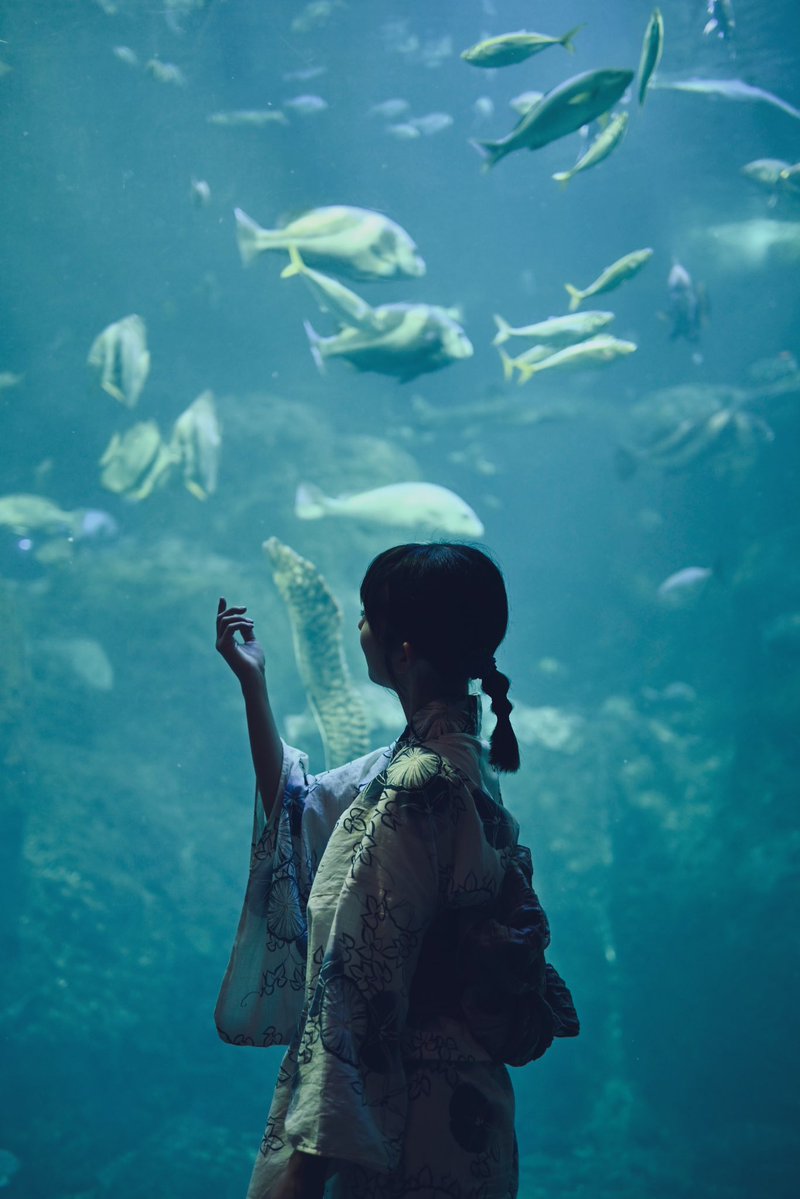 it____00's tweet image. 海の中