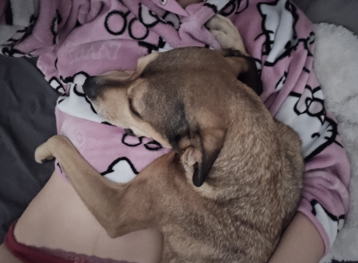 Dont tell my other pets, but Fish is my favorite forever and always