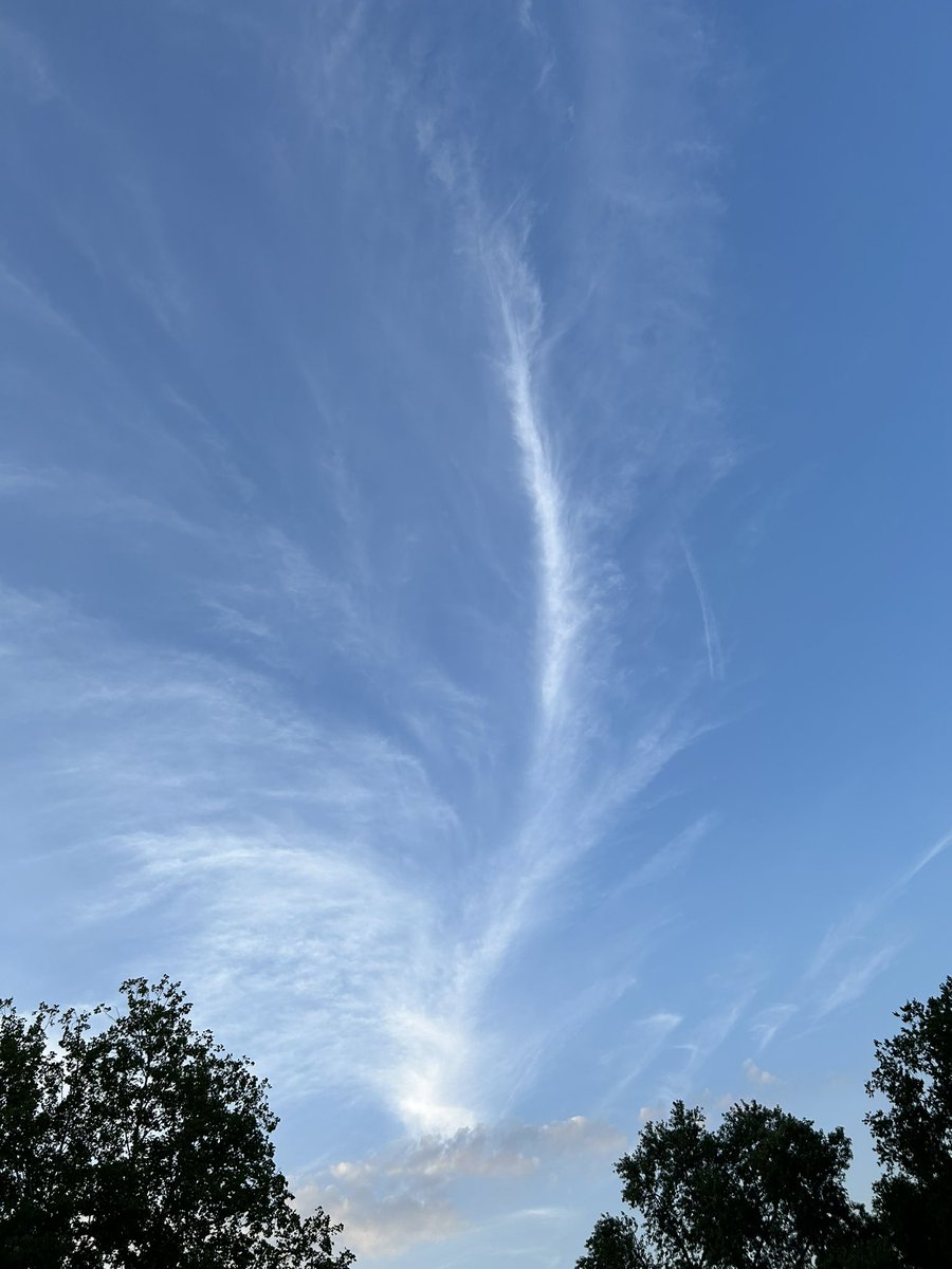 PemaZeje's tweet image. “Vast blue emptiness,
wispy trail dissolves in light—
pure mind awakens.” 🙏
