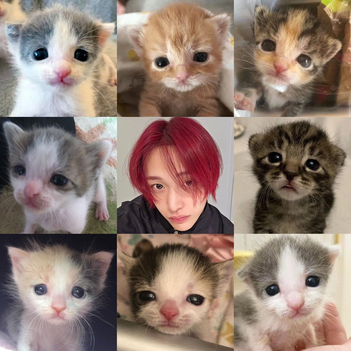 bibi 🌰 (@cutiebabebin) on Twitter photo 