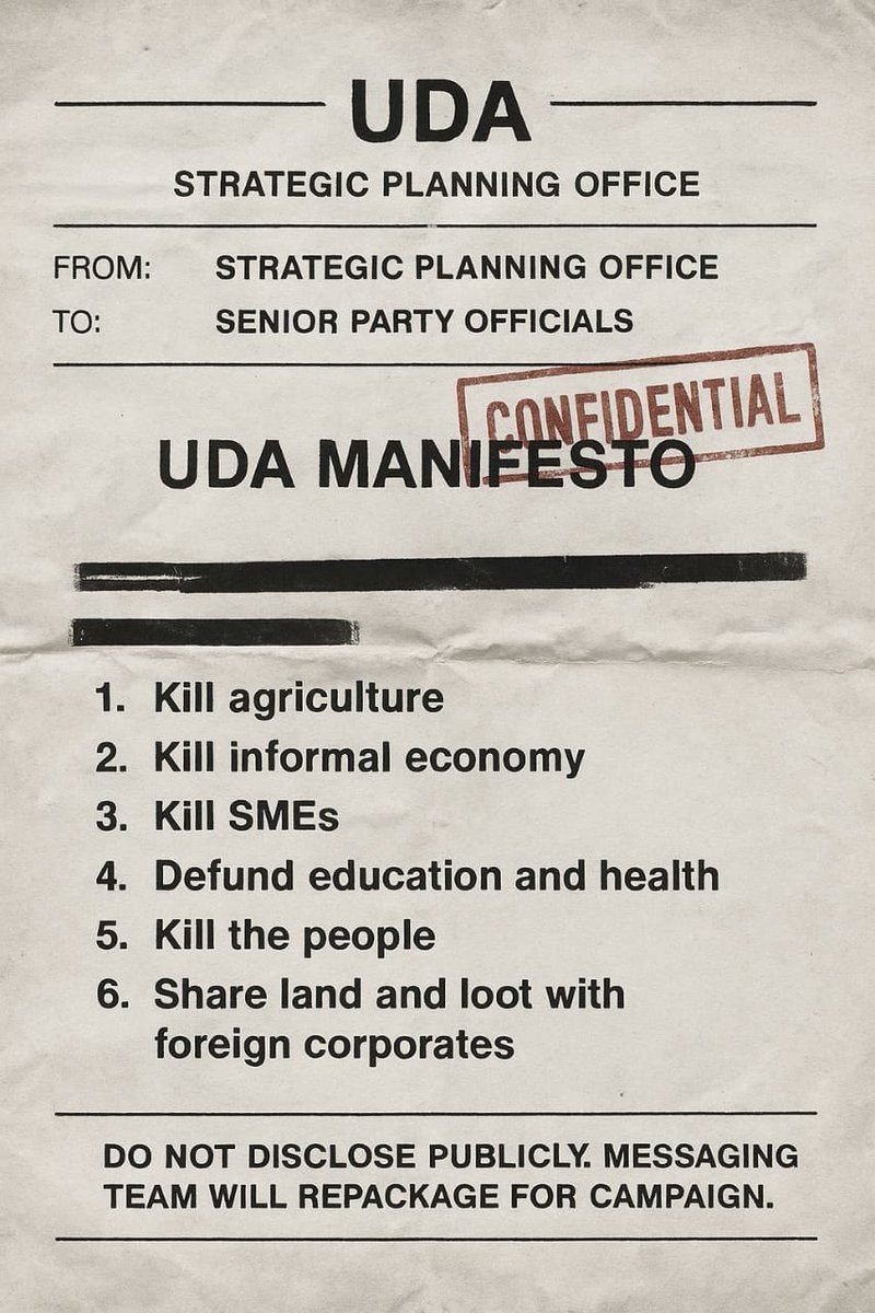 UDA strategic planning