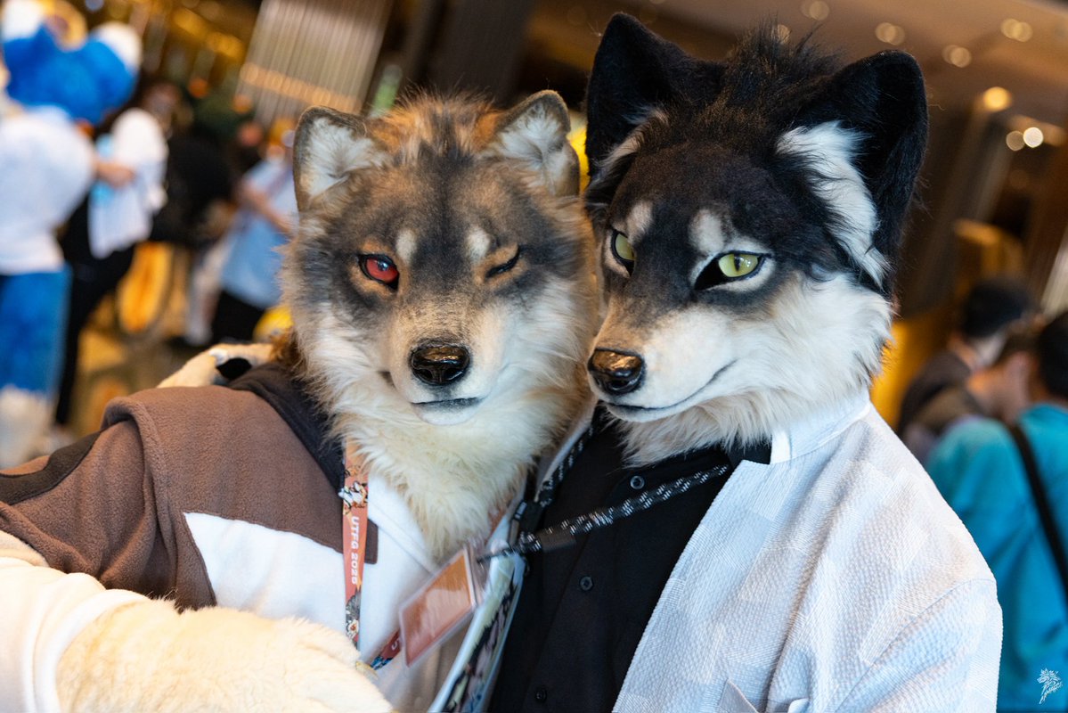 汐流くんがカッコ良すぎた〜！！
おめでとう兄弟🥳

#FursuitsFriday 
#UTFG2025 
📷<a href="/chiuwolf/">Wolf Chiu</a>