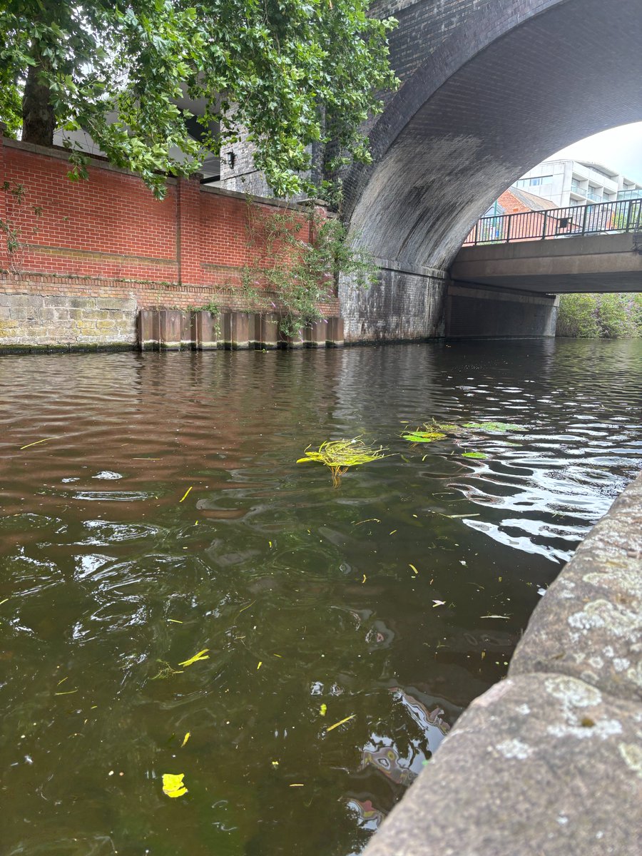 MyNottingham's tweet image. ✅ Keeping Nottingham Safe

Following recent incidents near the canal, Nottingham City Council Leader, Cllr Neghat Khan, has reaffirmed the Council’s commitment to public safety.

Read more here
mynottinghamnews.co.uk/we-will-not-to…

#SaferNottingham #CommunitySafety #CanalSafety #Nottingham