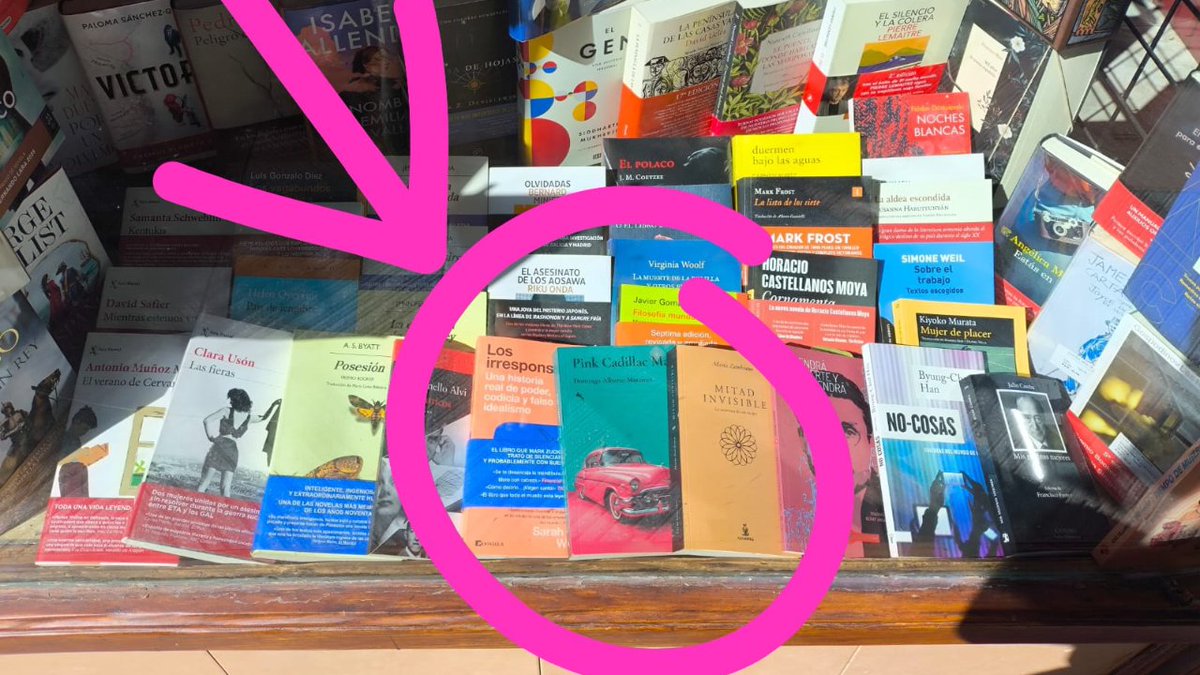 DomingoAlbMtnez's tweet image. Un lector de #León 🦁 me manda estas fotos de la librería #Valderas, en cuyo escaparate ha aparcado un flamante Cadillac rosa 🩷
¿Y tú?, ¿ya lo has visto en tu librería habitual?
#PinkCadillacMan @WestIndies2016 @JotDownSpain @CyLEsVida @jcyl @LeonAyto
todostuslibros.com/libros/pink-ca…