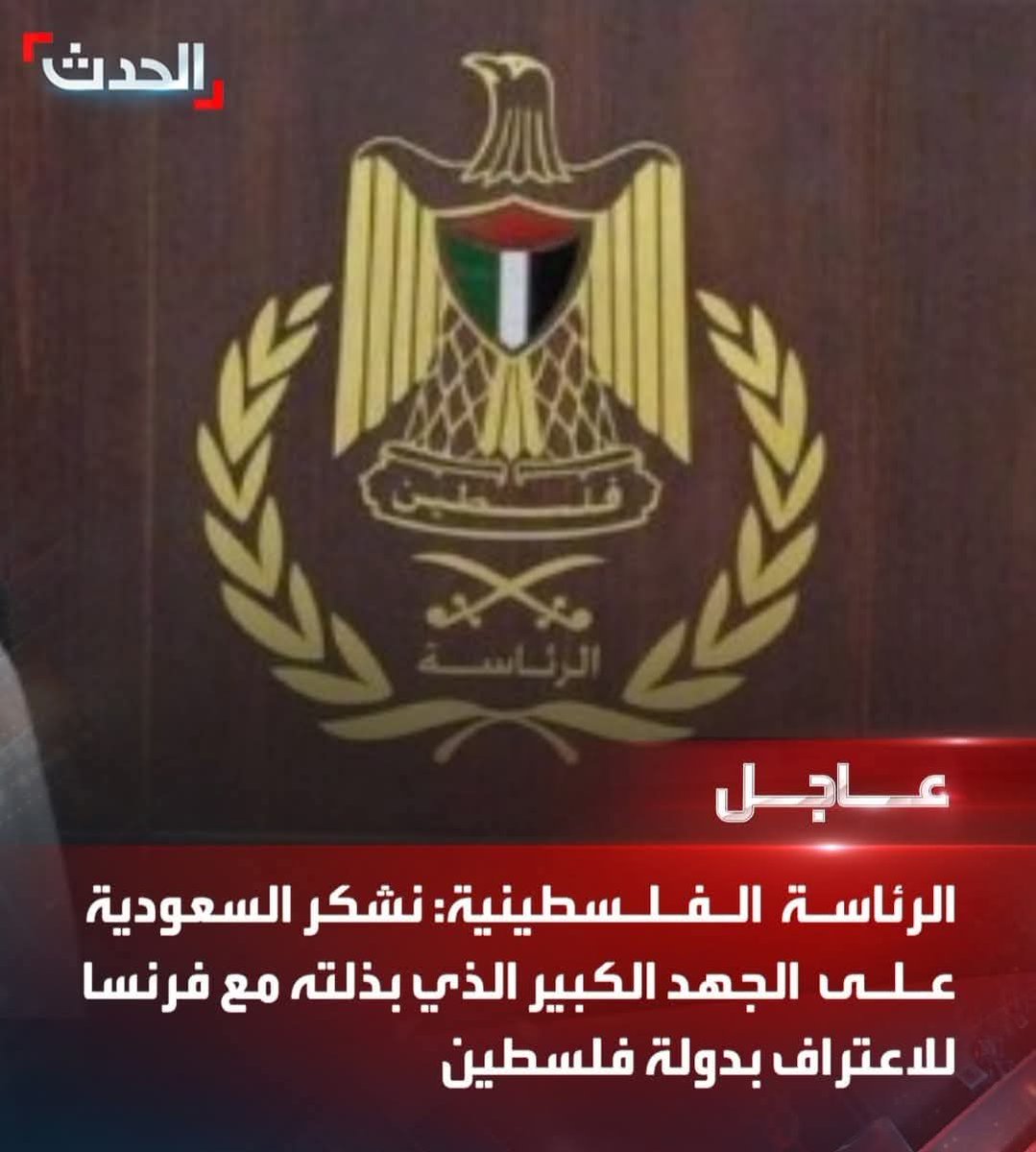 جيهان 🇪🇬احمد لطفي🇪🇬 tweet media