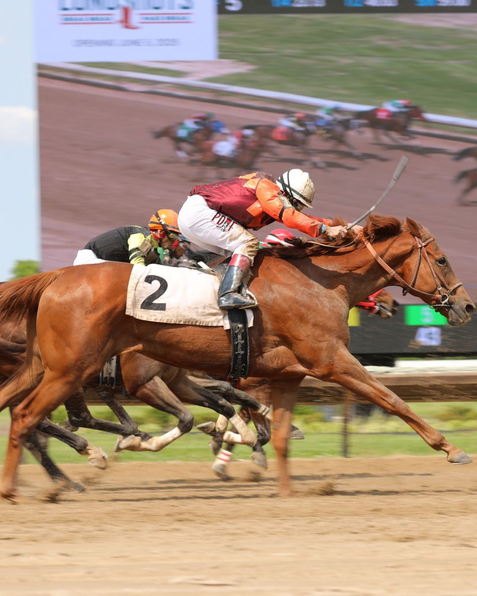 FairmountPk's tweet image. Race day is right around the corner at Fairmount Park! Join us trackside tomorrow for thrilling live horse racing, great food, and unbeatable energy.
๐ Gates open at 11 AM | First post at 1:30 PM
๐๏ธ Check out entries and post times: equibase.com/static/entry/Fโฆ