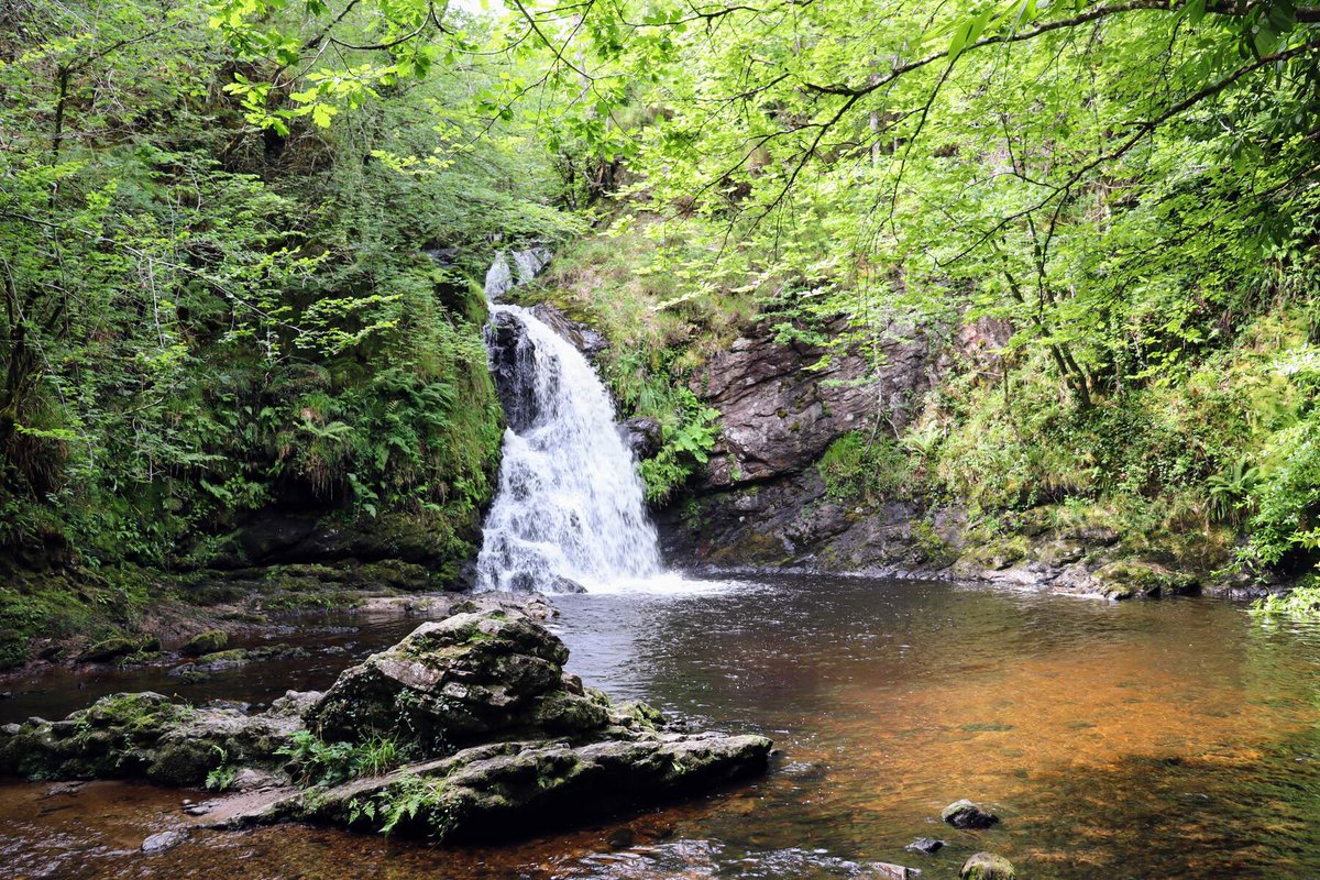 MayoDotIE's tweet image. What was once land belonging to the Moore family sits Tourmakeady, and a charming waterfall.

The waterfall can be accessed through two local walking trails.

Visit Coillte’s website for trail info and more: coillte.ie/site/tourmakea… 

📷 Fionnán Nester