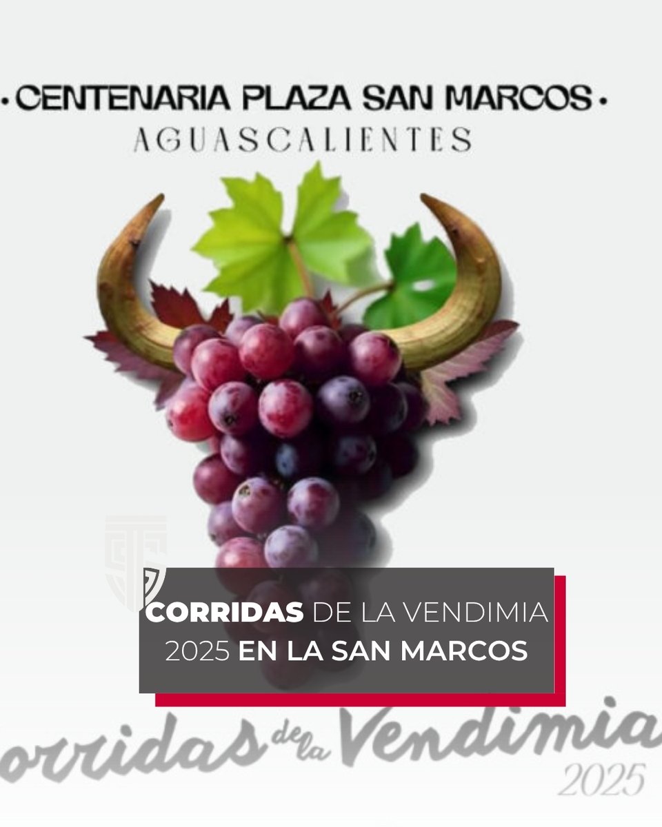 📸 ¡Vuelven las emociones a la Plaza San Marcos!
Tres corridas, un encierro lleno de adrenalina y la magia de la Ruta del Vino en Aguascalientes 🍷🐂
📲 Revisa las fechas, conoce los carteles: titansports.international/la-feria-de-la…

#Vendimia2025 #PlazaSanMarcos #FeriaDeLaUva